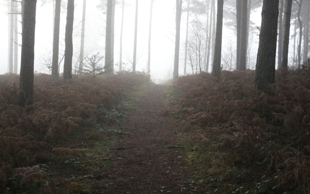 Day 20: Who Guides You?