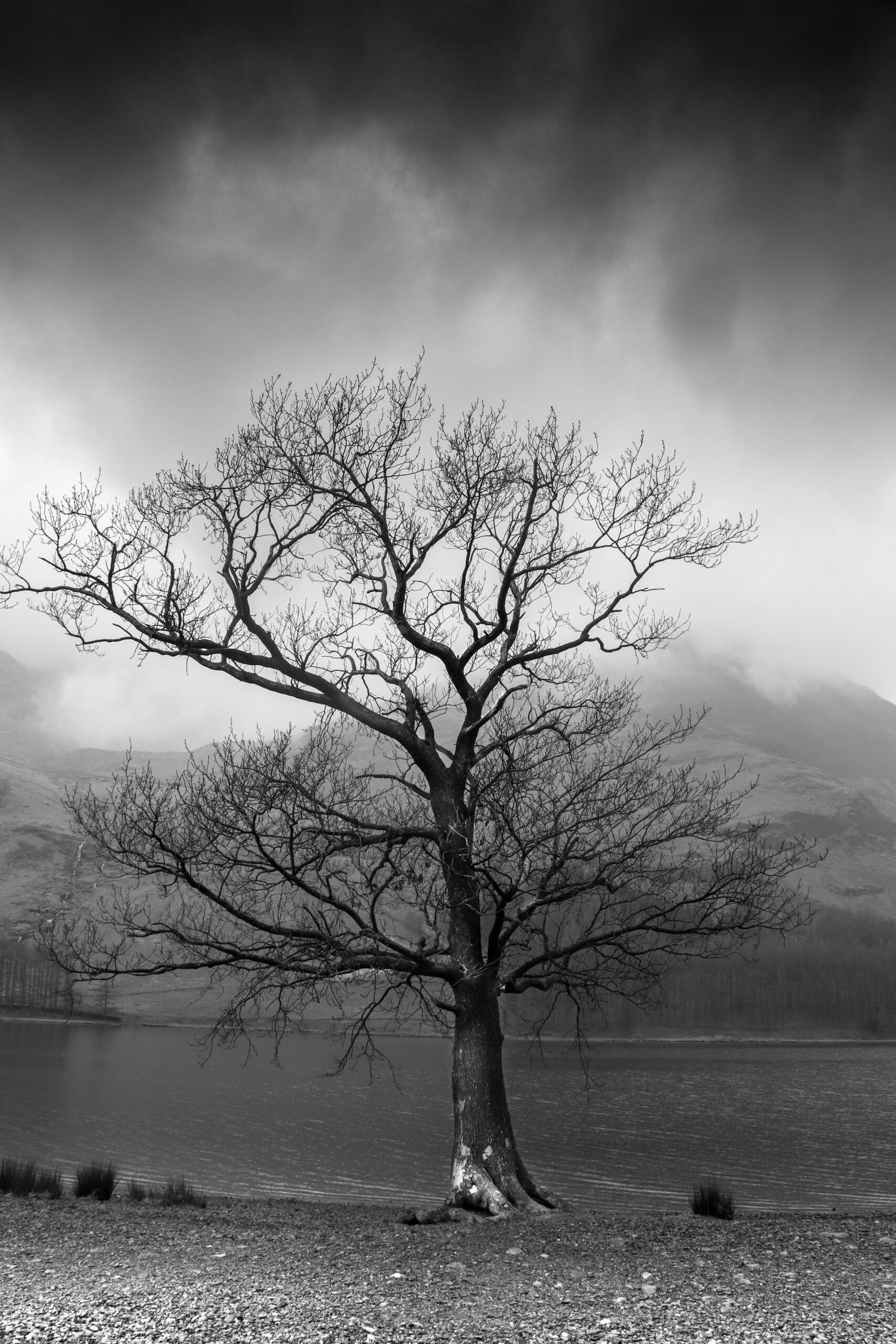 jake-colling–dbAuw_PsuQ-unsplash